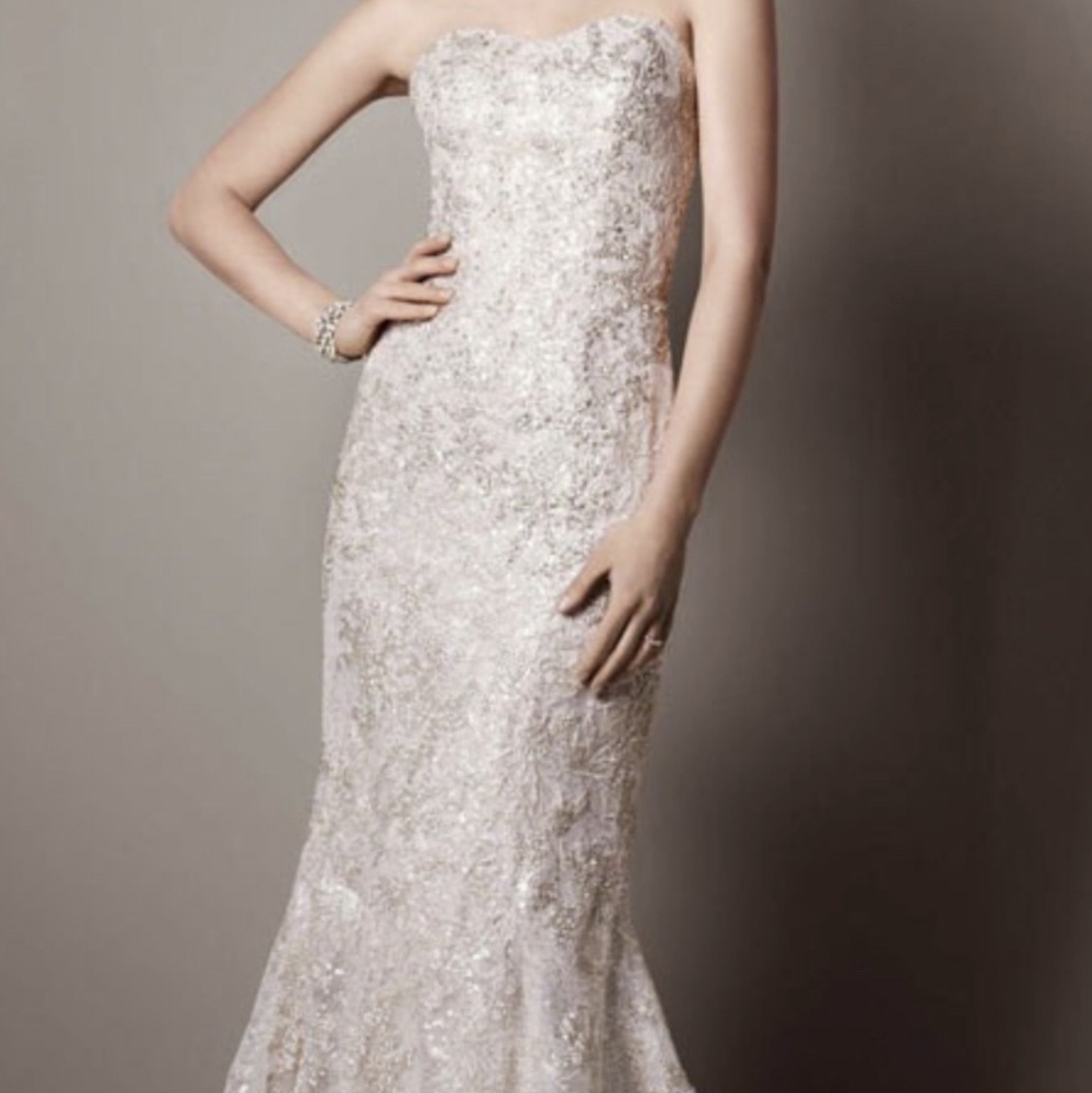 Formal/Wedding Dress